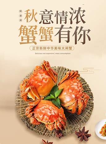 案例