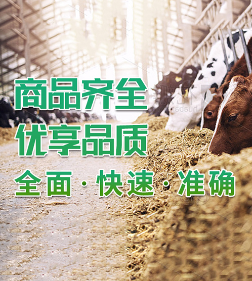案例